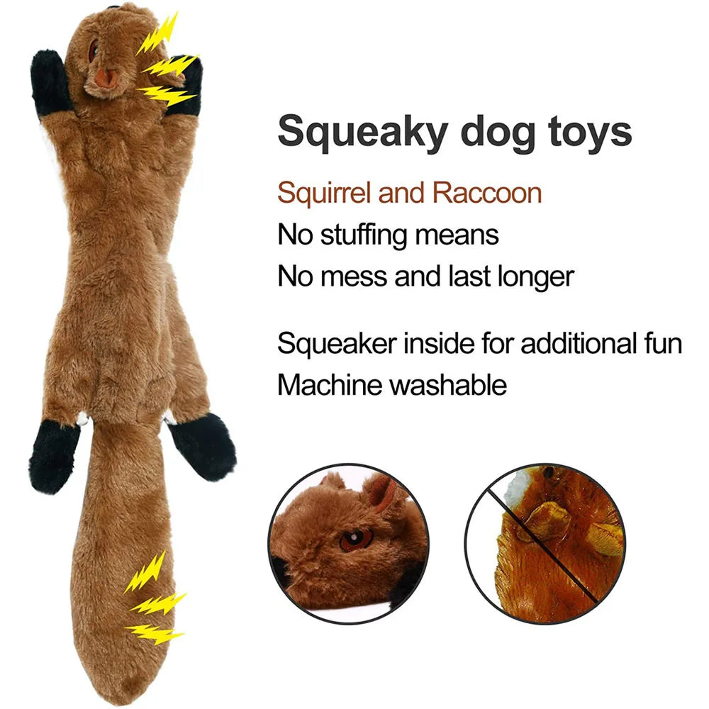 Durable Stuffing-Free Squeaky Dog Toy – Crinkle & Chew Resistant Plush
